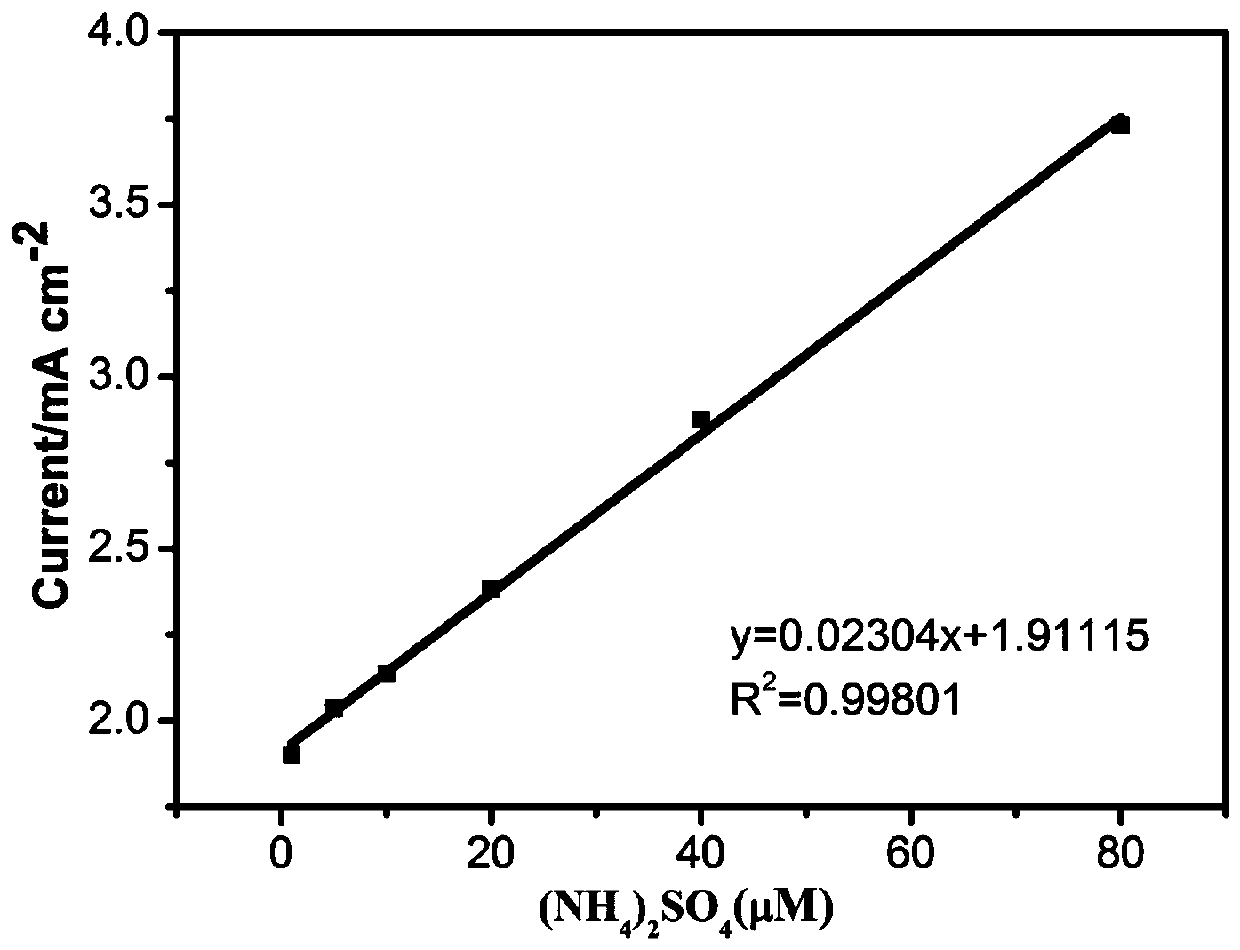 Sensitive electrode for direct electrochemical detection of ammonia nitrogen in water and preparation method of sensitive electrode