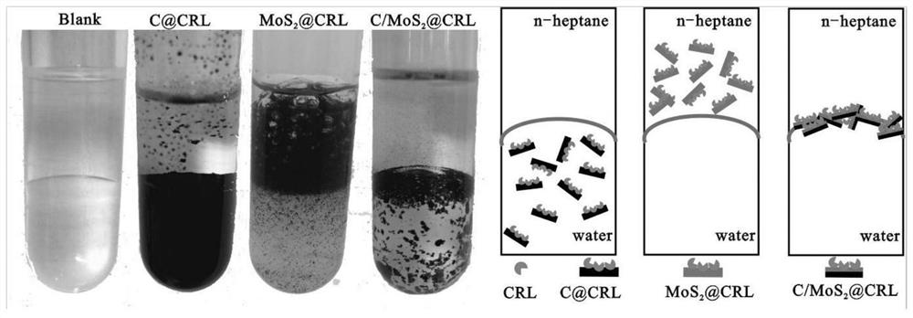 A kind of double-sided amphiphilic carrier and its preparation method and application