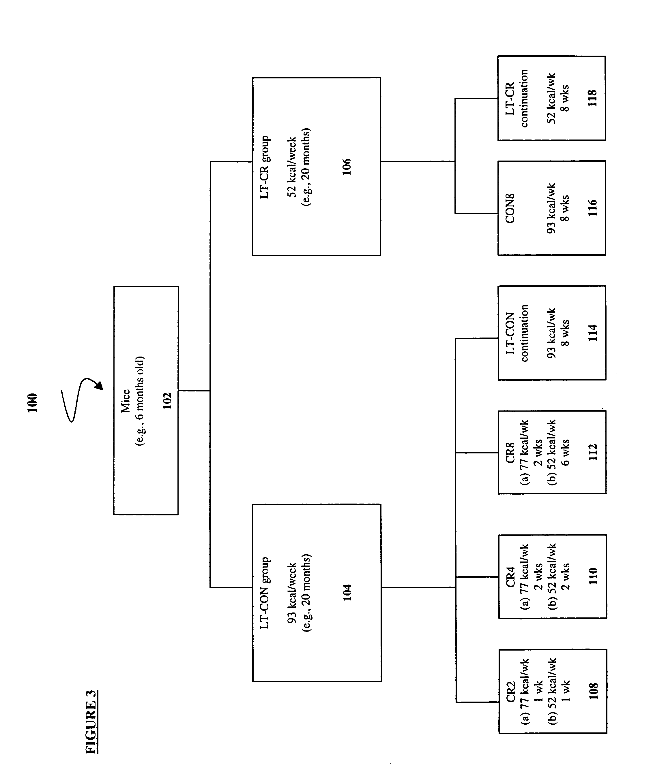 Methods of evaluating the dynamics of caloric restriction and identifying caloric restriction mimetics