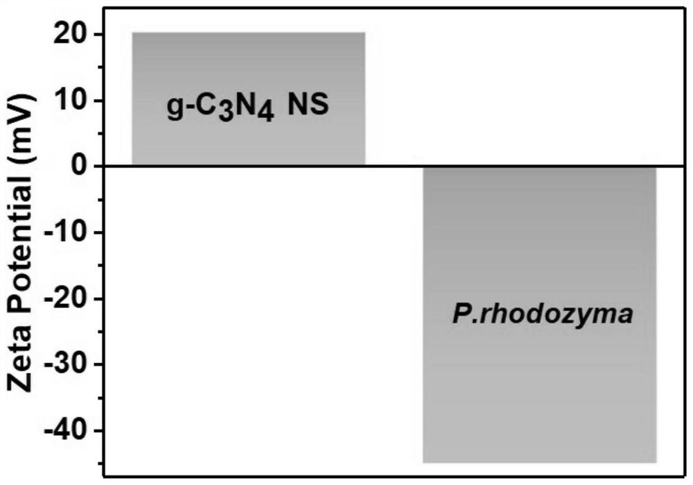 Method for improving yield of astaxanthin in wild phaffia rhodozyma strain through inorganic-microbial hybrid system
