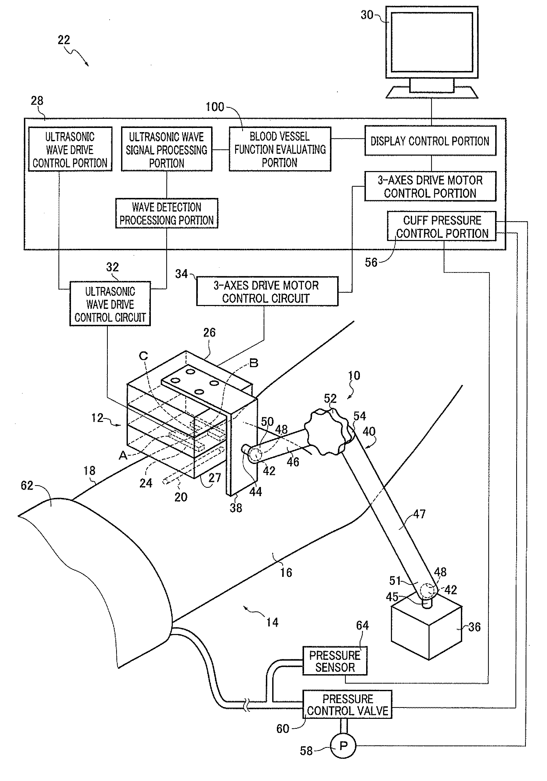 Blood vessel function inspecting apparatus