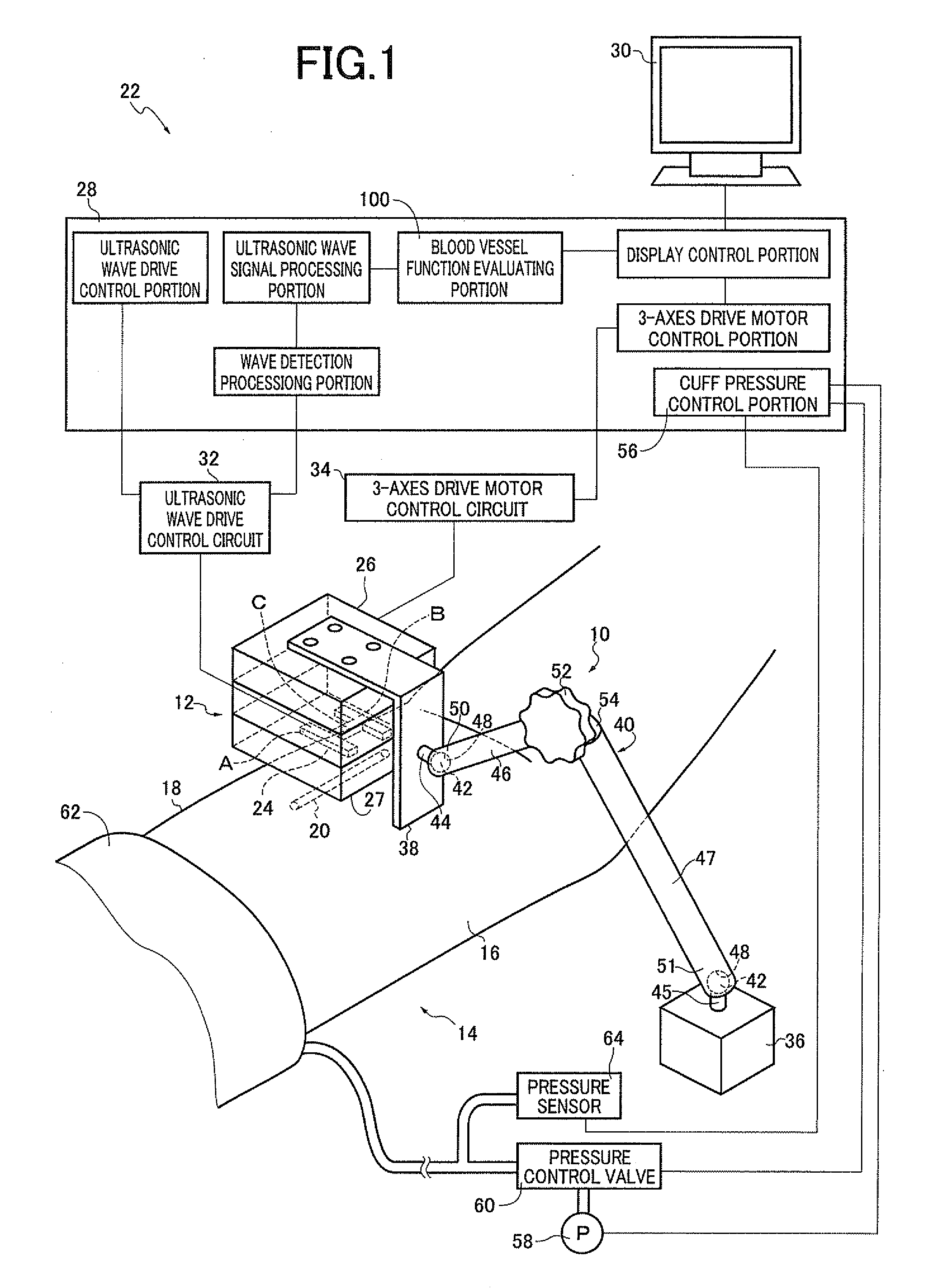 Blood vessel function inspecting apparatus