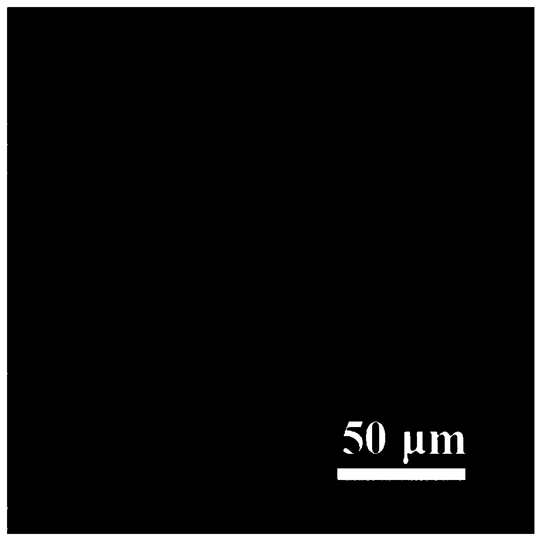 3D lithium metal negative electrode, lithium metal battery and preparation and application thereof