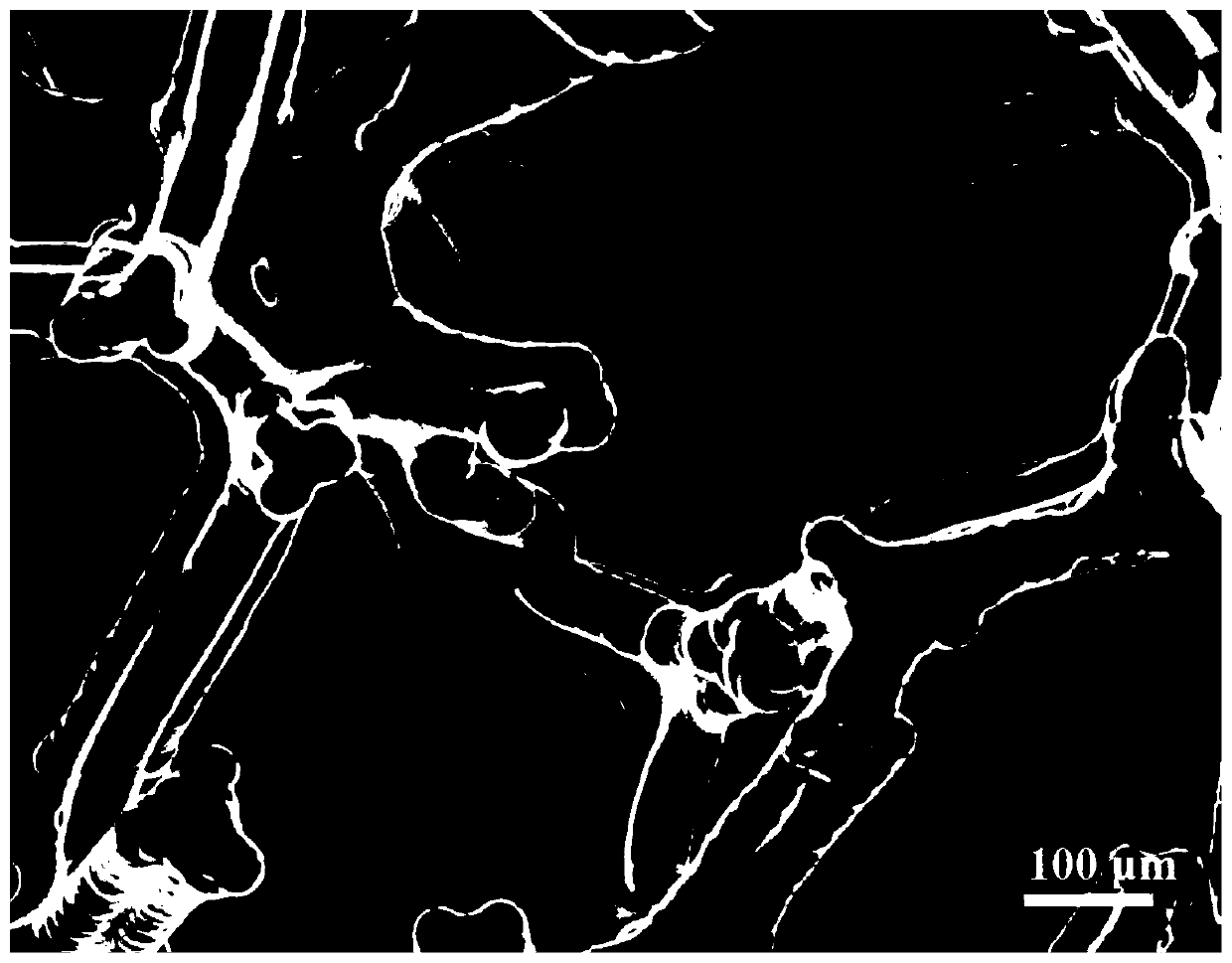 3D lithium metal negative electrode, lithium metal battery and preparation and application thereof