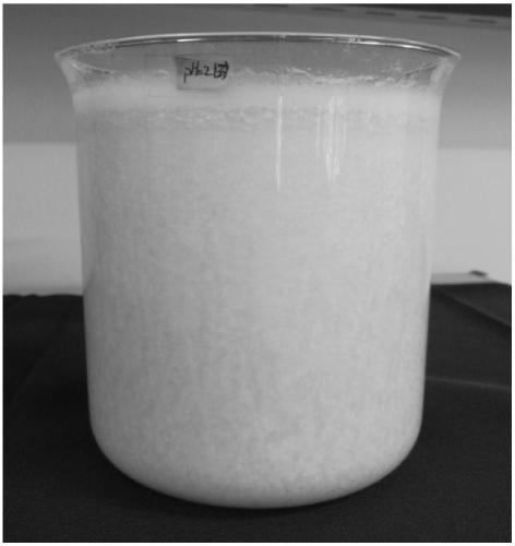 Method of separating and purifying dihydromyricetin from ampelopsis grossedentata