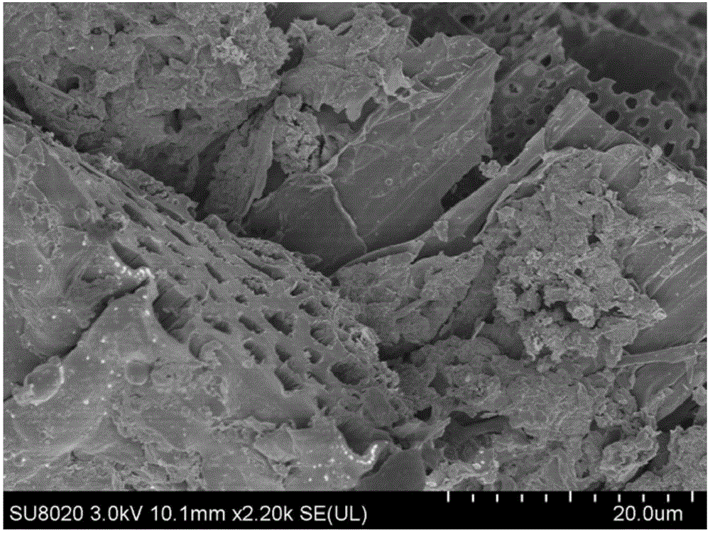 Method for preparing Fe/C composite porous structure material by using limonite