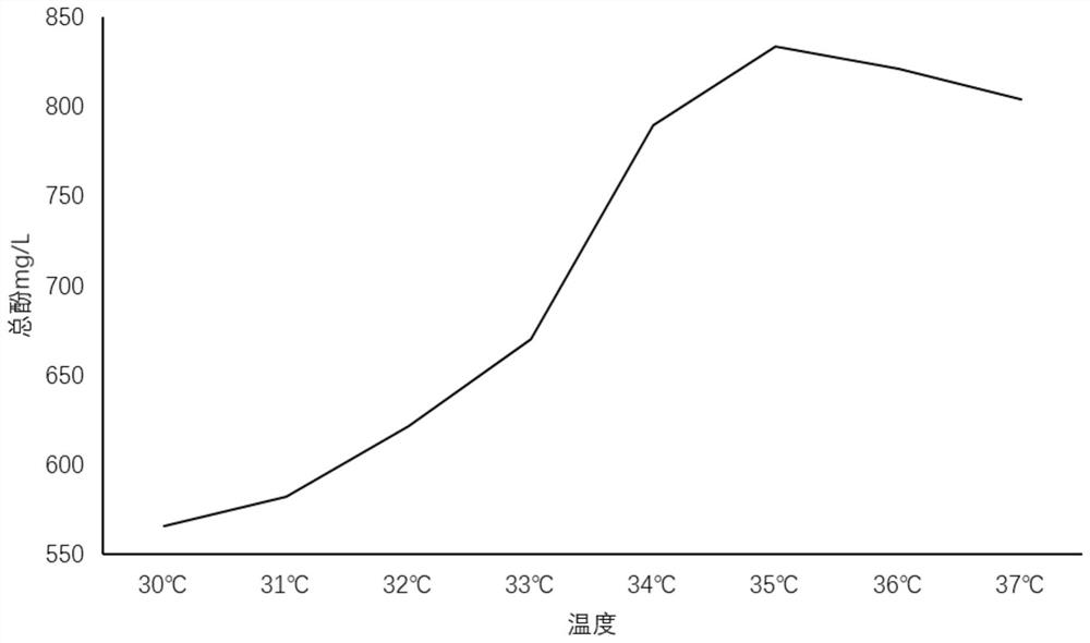 Chlorella, seaweed and sweet potato leaf composite enzyme and preparation method thereof