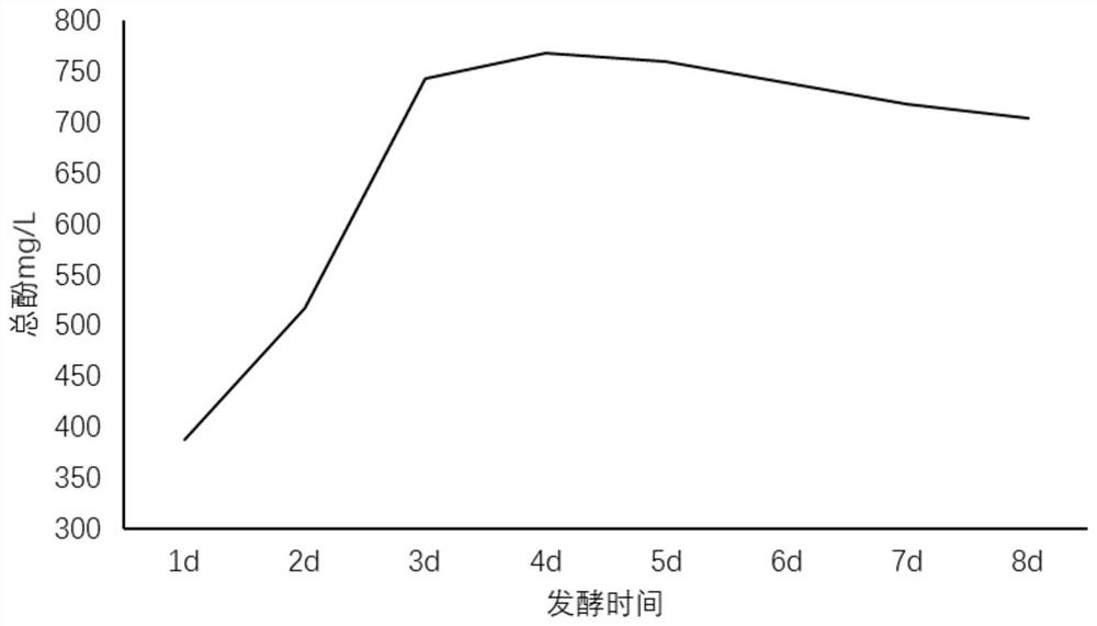 Chlorella, seaweed and sweet potato leaf composite enzyme and preparation method thereof