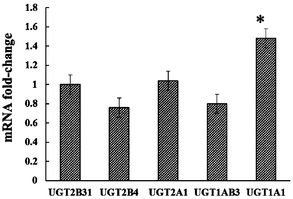 application of uridine diphosphate glucuronosyl transferase 1A1 subtype to DON (deoxynivalenol) metabolism