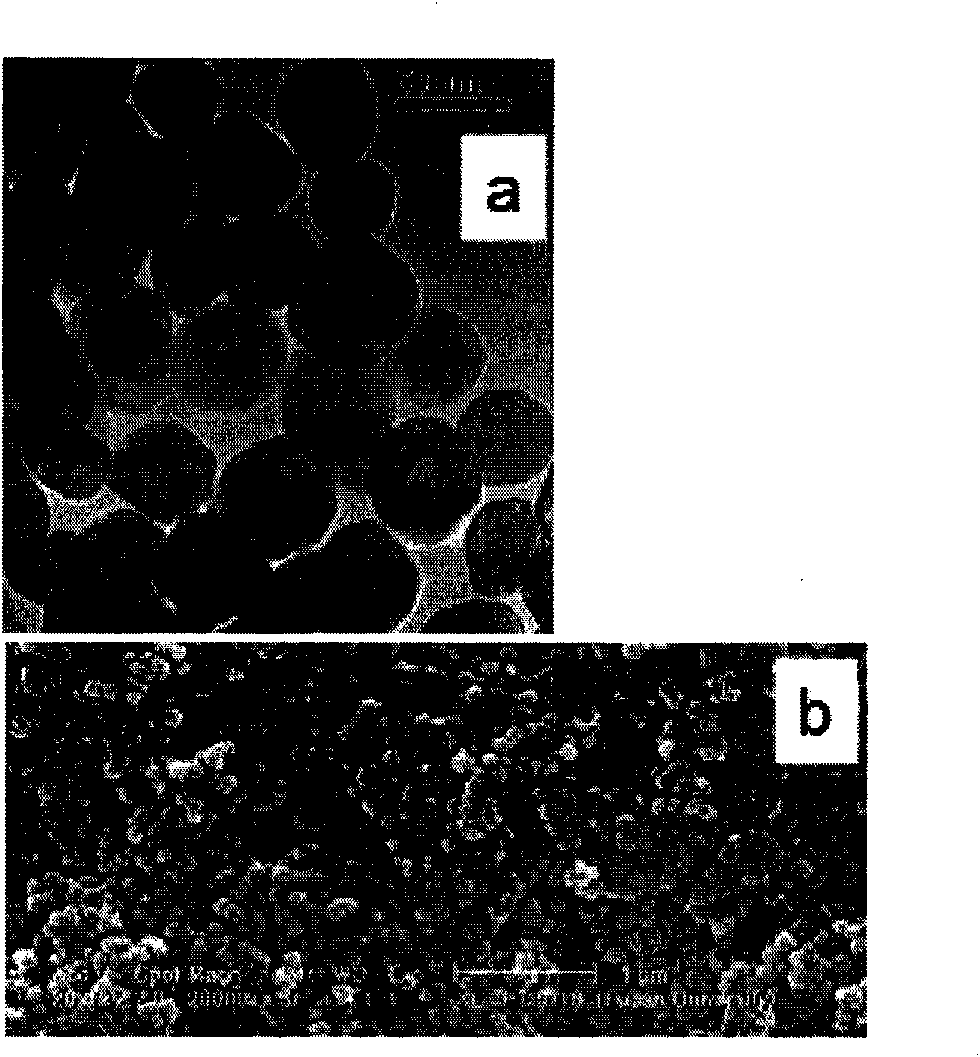 Nano magnetic material of surface modified boric acid base group, preparation method and application thereof