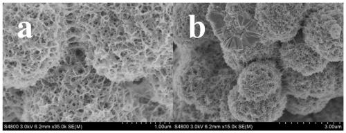 Preparation method of W18O49/NiWO4/NF self-supporting electrocatalytic material