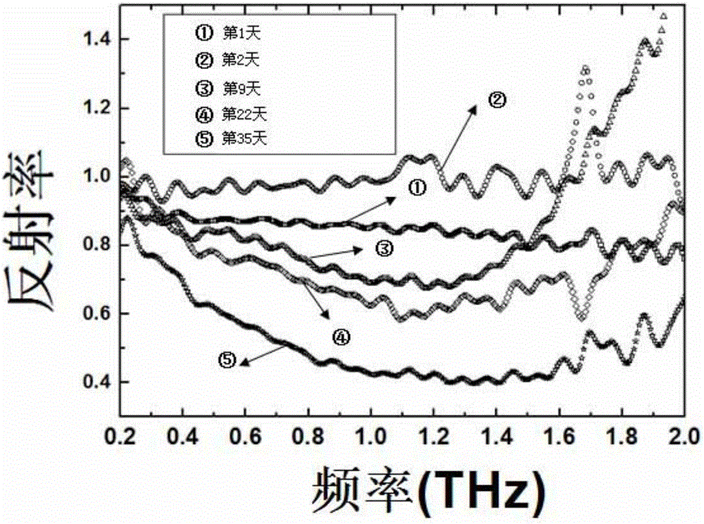 A method for detecting metal corrosion using terahertz time-domain spectroscopy
