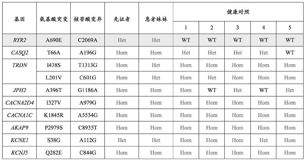 Screening kit for malignant arrhythmia, establishment method and application of animal model