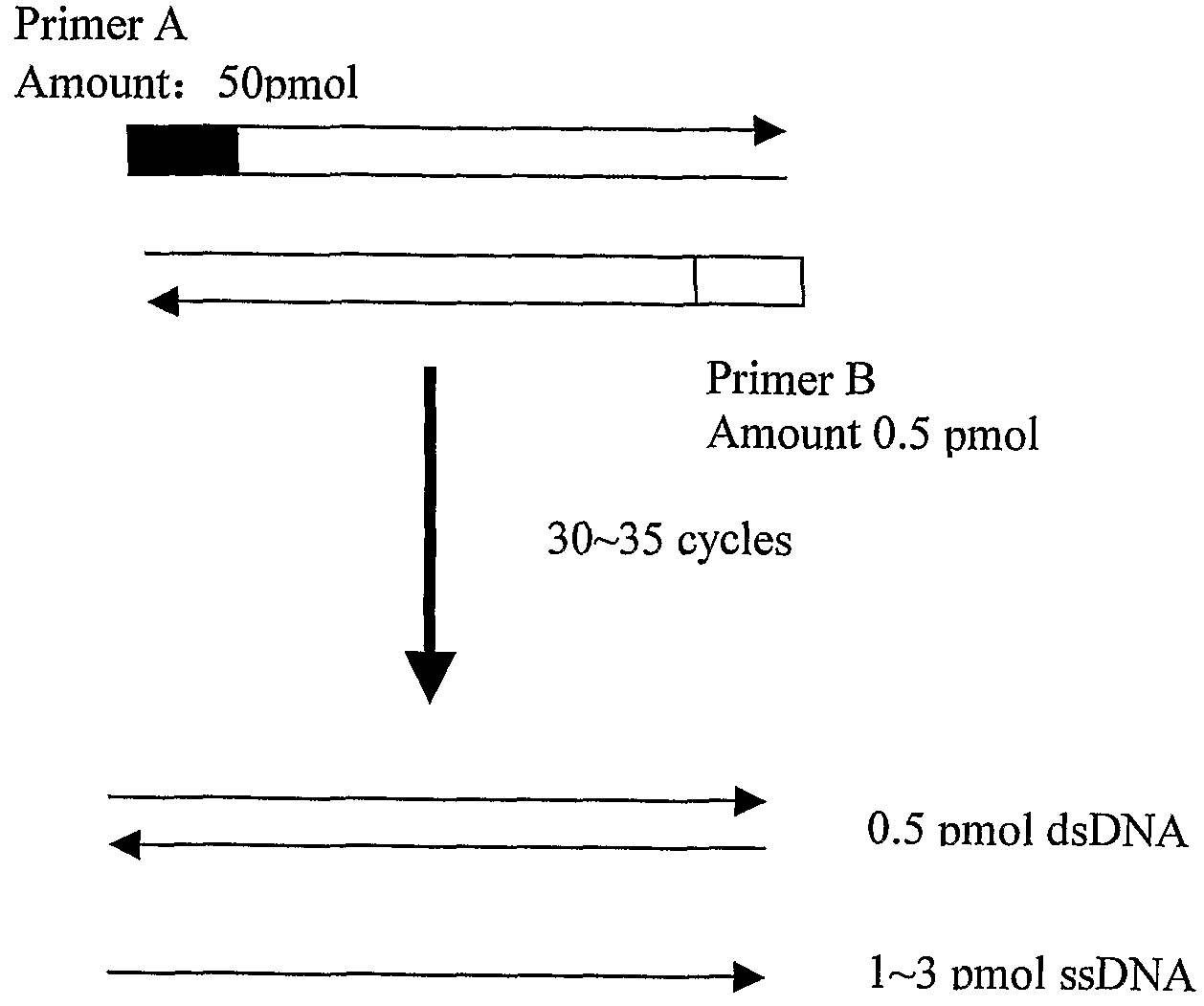 Microarrays for genotyping and methods of use