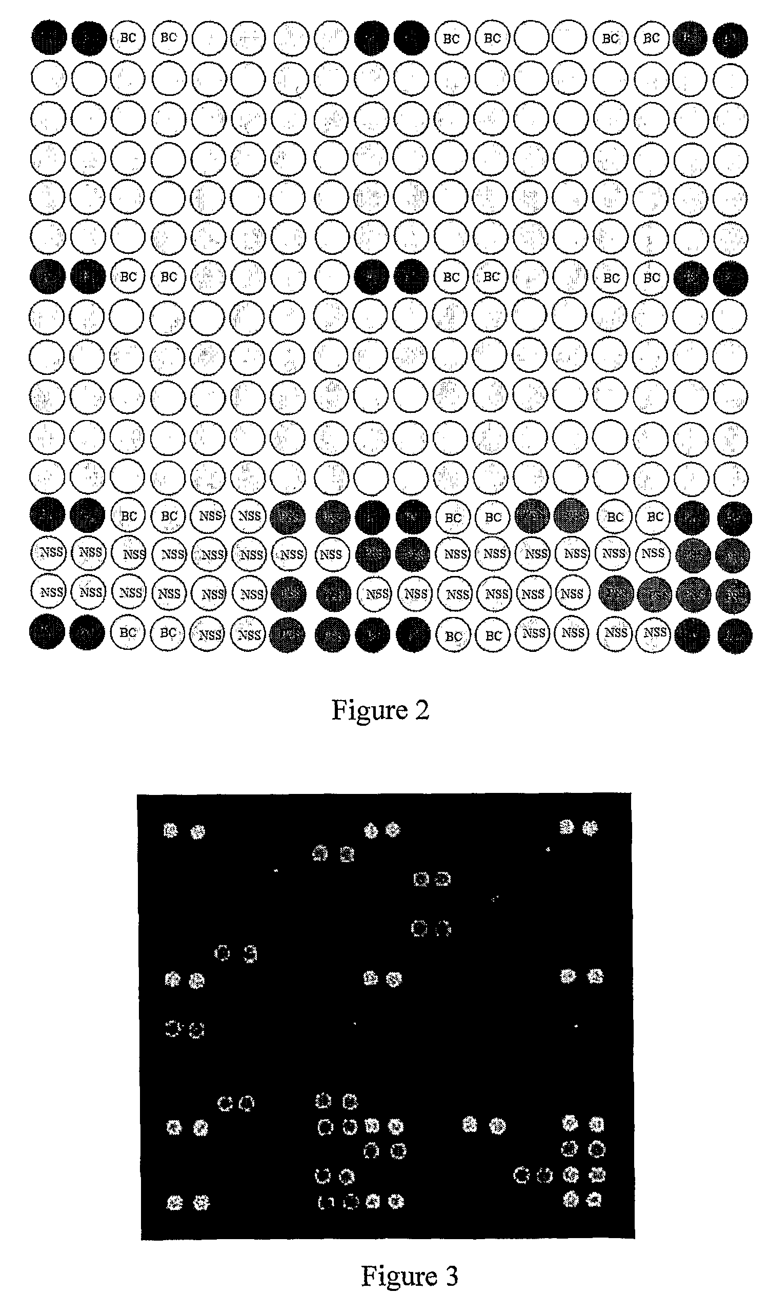 Microarrays for genotyping and methods of use