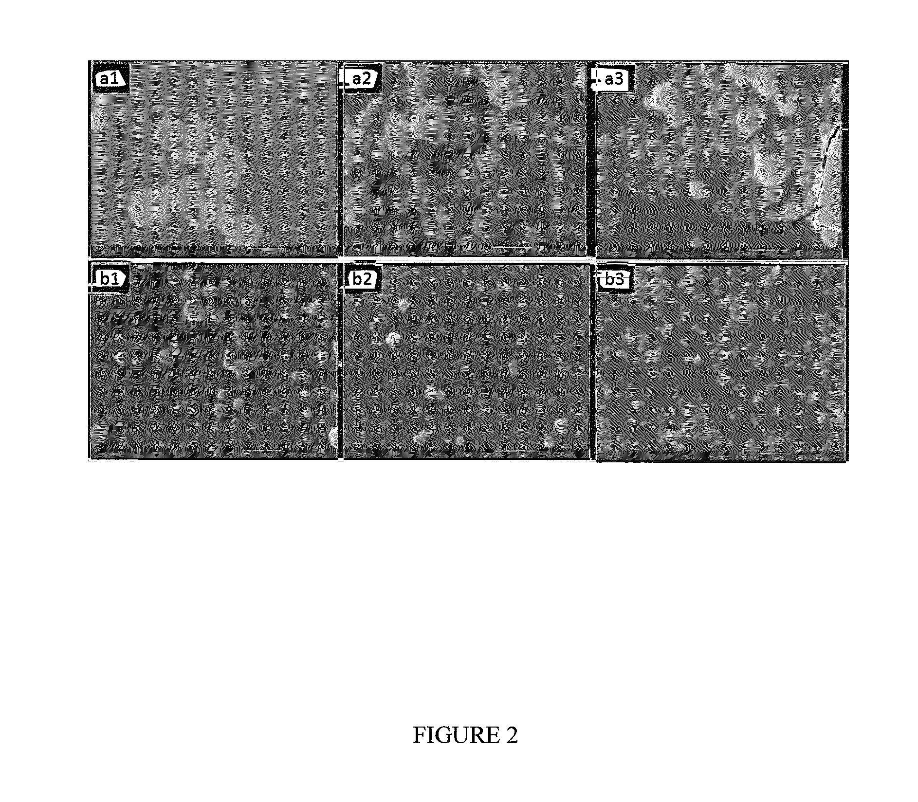 Method for preparation of well-dispersed, discrete nanoparticles by spray drying techniques