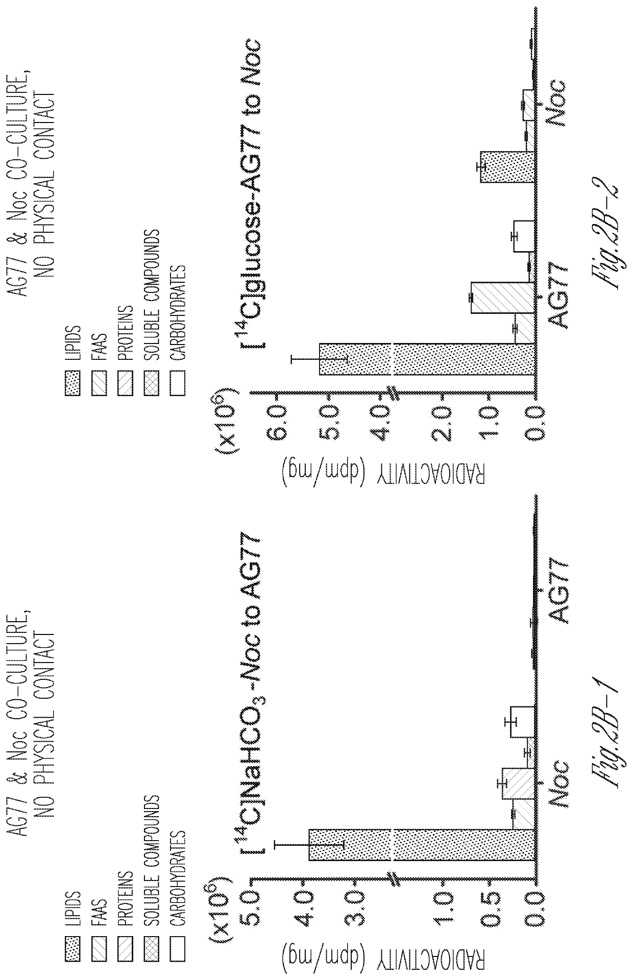 Lipid biosynthesis and abiotic stress resilience in photosynthetic organisms