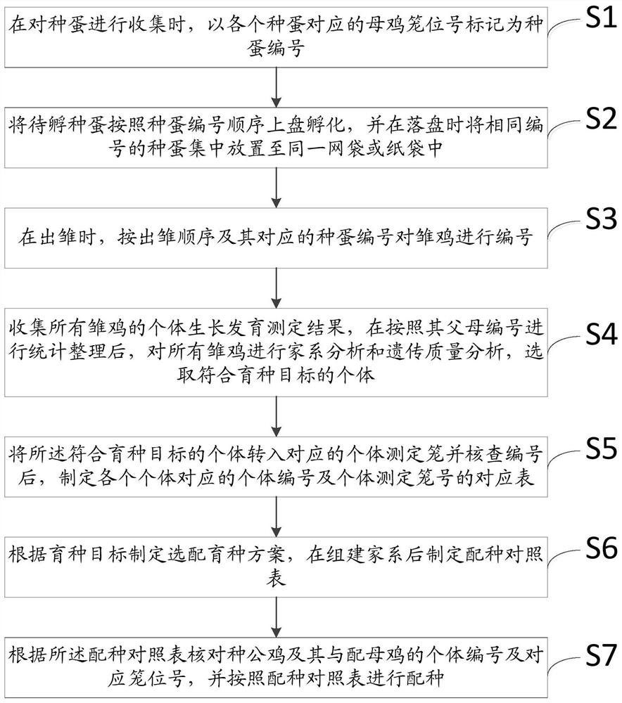 Individual numbering method for poultry breeding