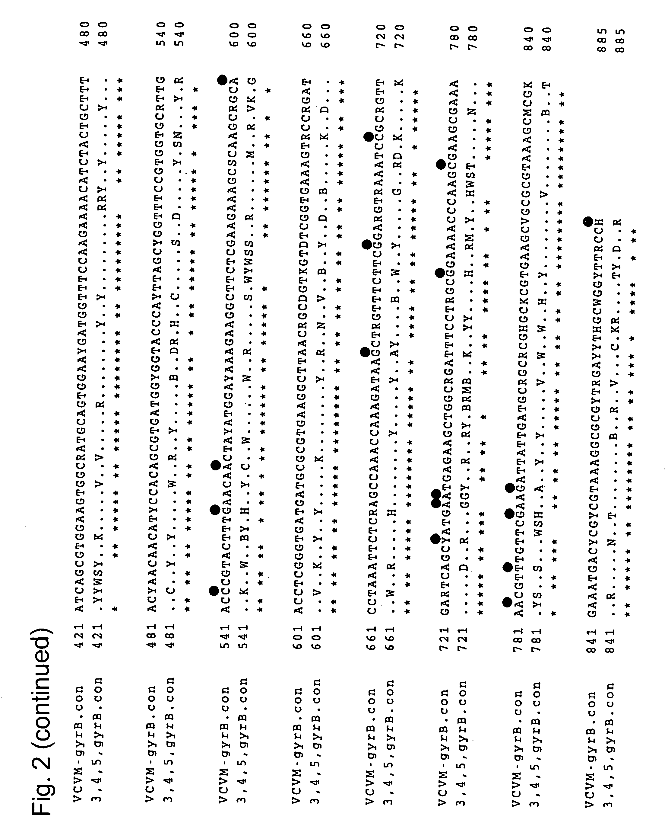 Primer and probe for detecting vibrio cholerae or vibrio mimicus and detection method using the same