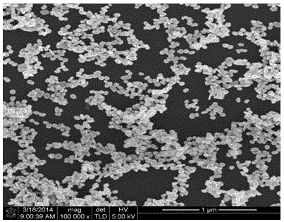 A single-layer nano-gold surface-enhanced Raman active substrate and preparation method thereof