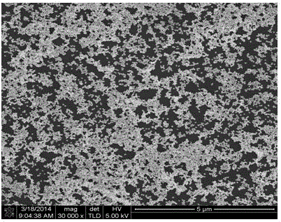 A single-layer nano-gold surface-enhanced Raman active substrate and preparation method thereof