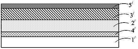 Polarizer and display device