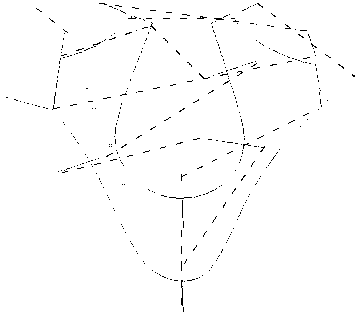 Determining method of line-drawing sequence in numerical control punching machine software