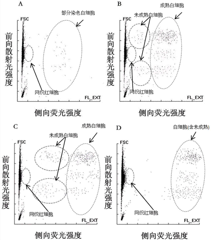 Blood cell detection reagent, blood cell processing method and blood cell identification method