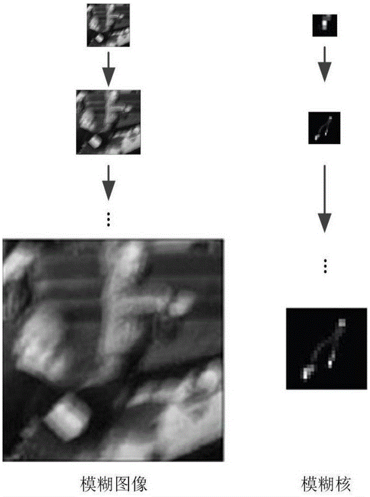 Sparse representation-based single lens calculation imaging PSF estimation method
