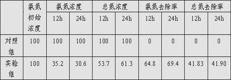 Bacillus subtilis strain and microecological preparation and application