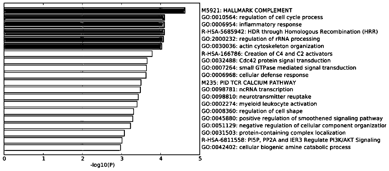 Prognostic marker gene and random survival forest model for predicting recurrence of II-stage colorectal cancer