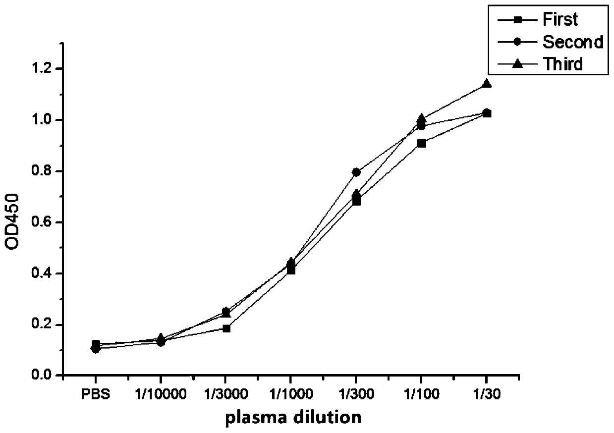 Biological inhibitor for silver carp surimi gel degradation