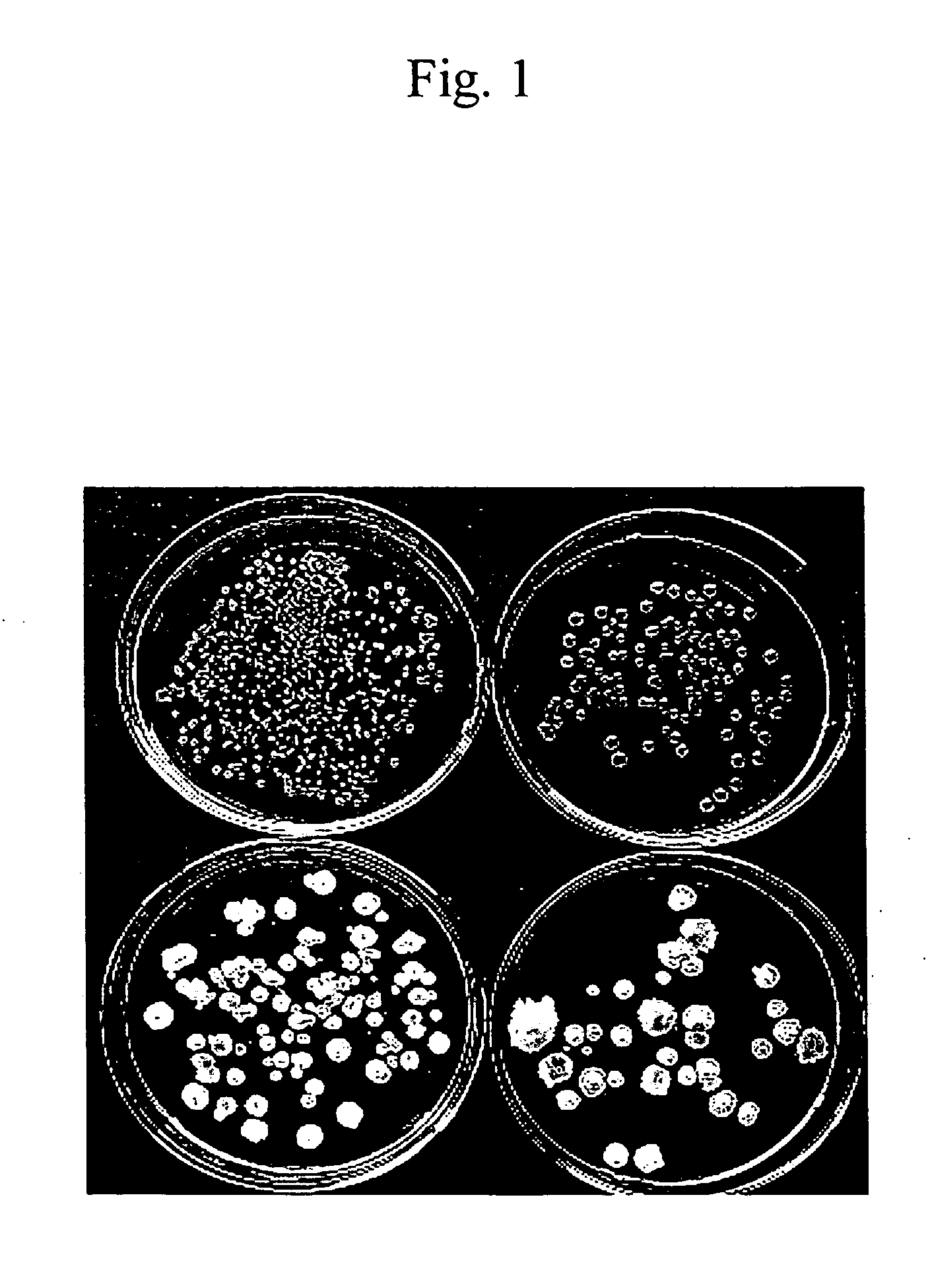 Method and agent for controlling plant disease using bacteria of genus bacillus