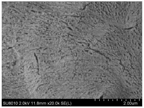 High-strength super-tough polylactic acid nano-pore foaming material and preparation method thereof