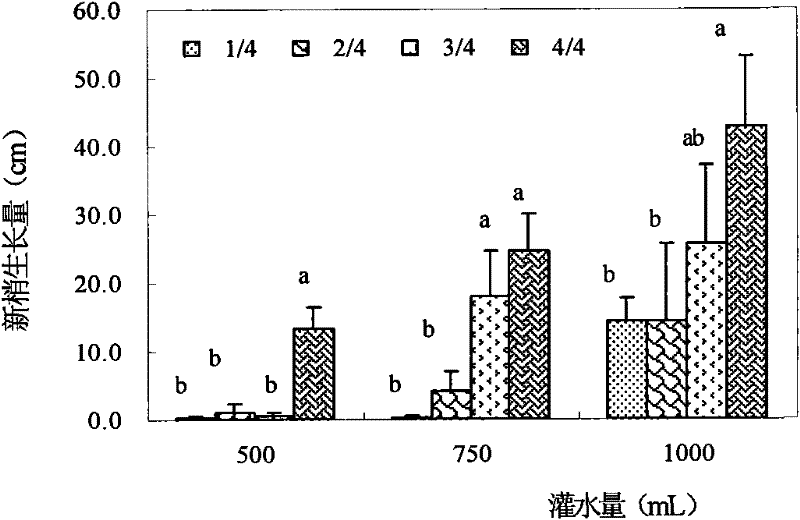 Method for researching partial root drying irrigation technology of woody fruit trees