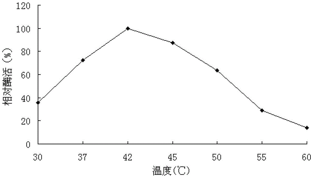 Neutral alpha-galactosidase M-GALC, and coding gene and application thereof