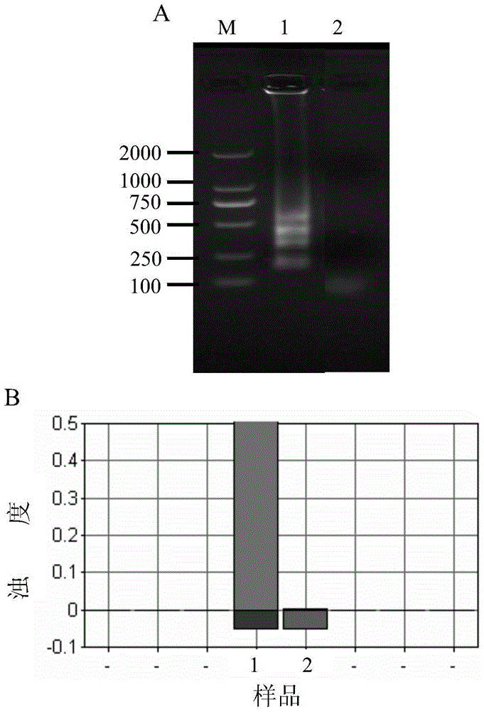 Lamp primer composition and application thereof for detecting viral hemorrhagic sepsis virus