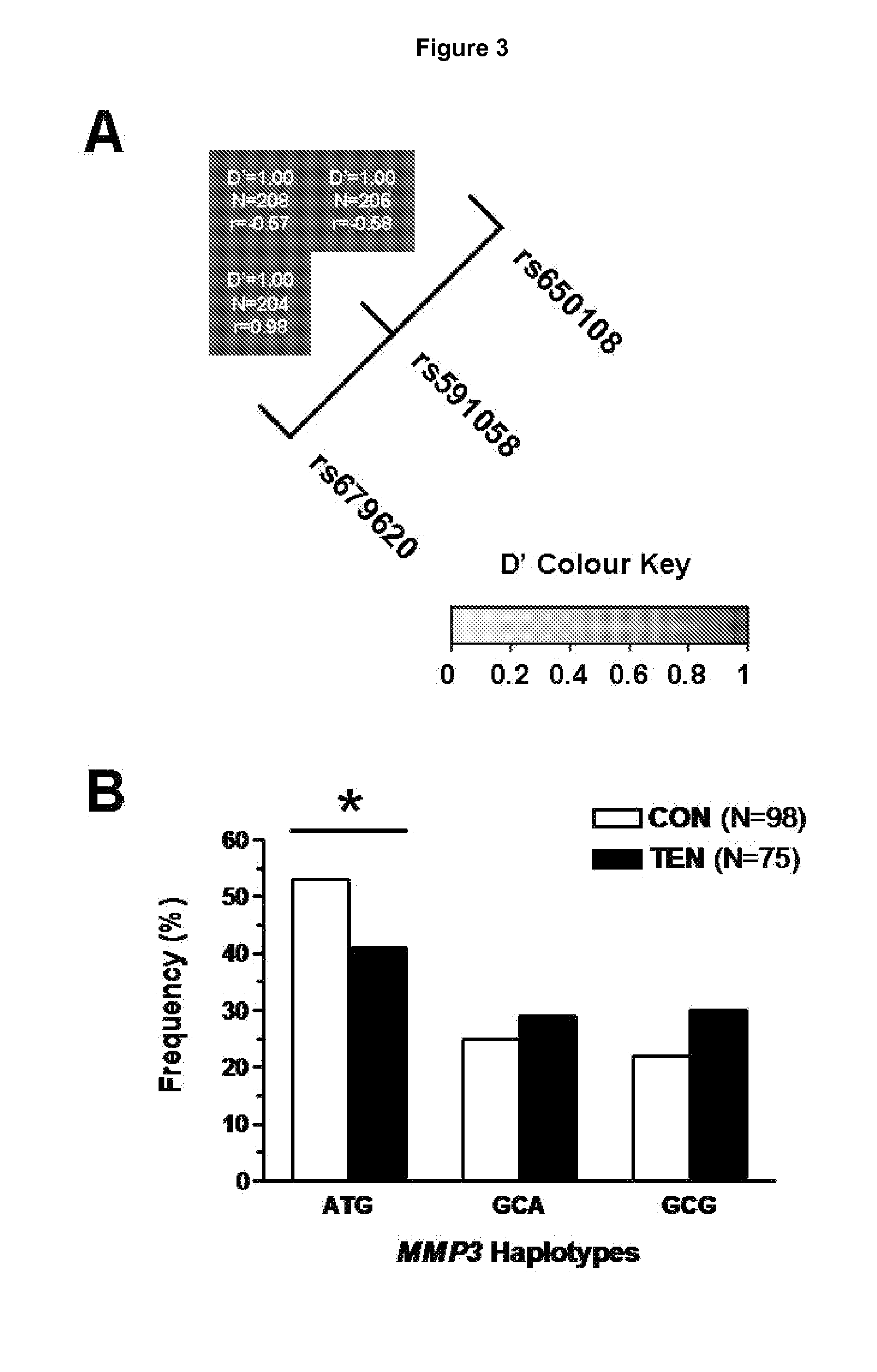 Oligonucleotides and methods for determining susceptibility to soft tissue injuries