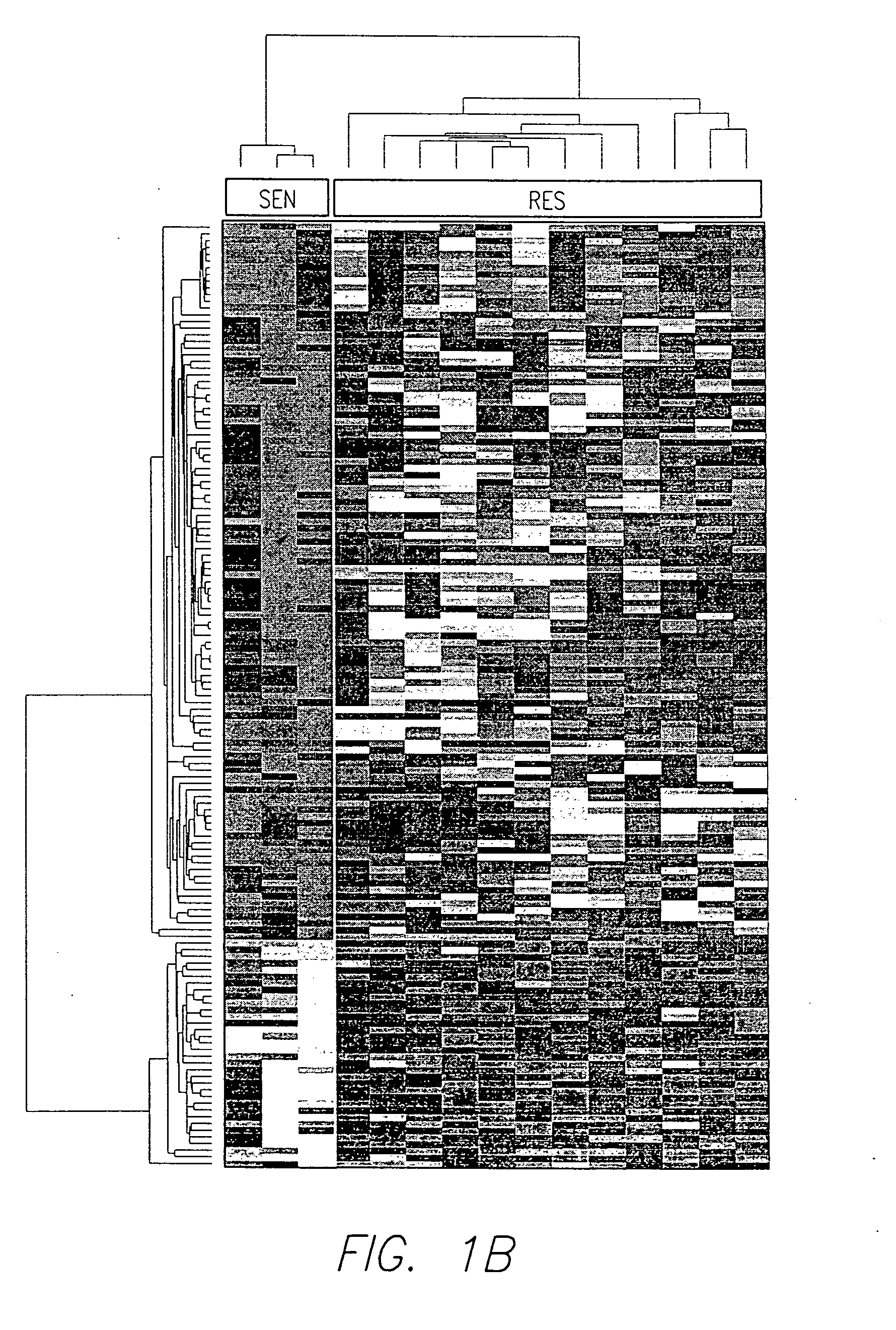 Protein modulators of resistance to alkylating agents