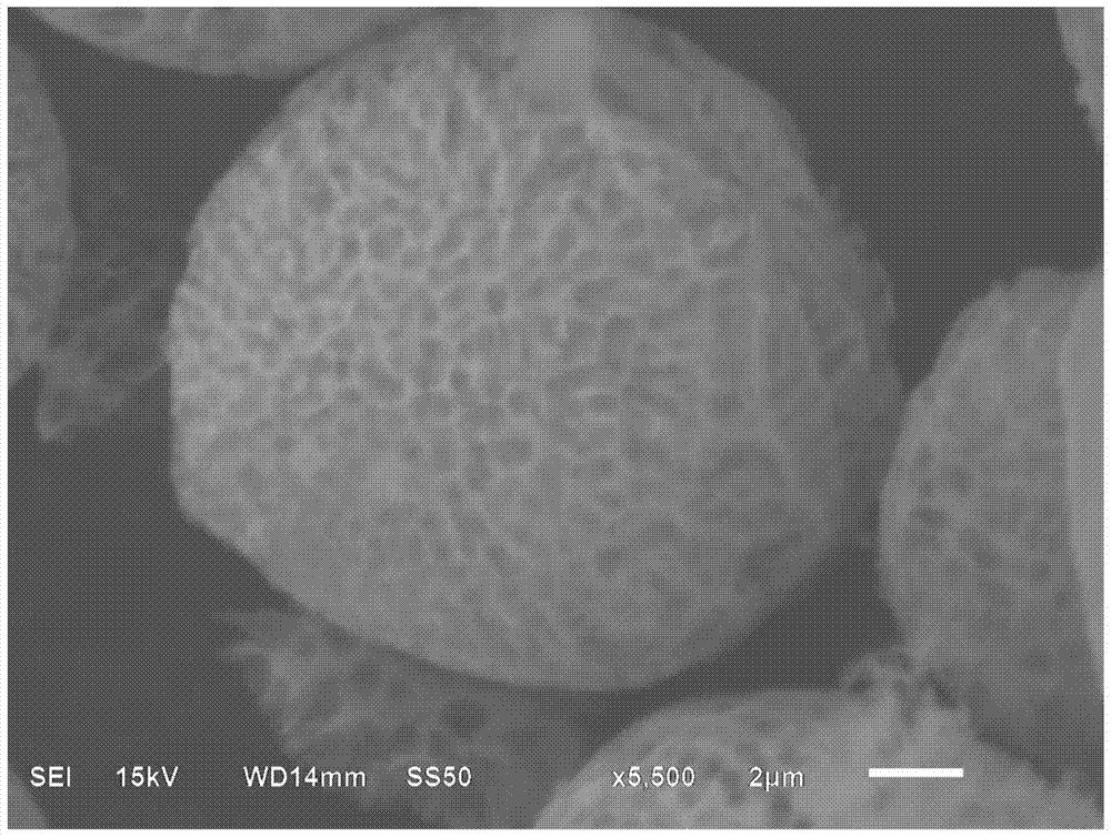 A kind of graphene-coated porous granular material and preparation method thereof