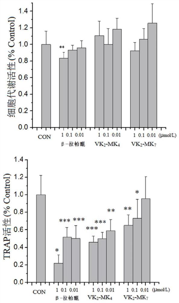 Cathepsin K inhibitor containing naphthoquinone and phenanthrenequinone structures, composition and application thereof