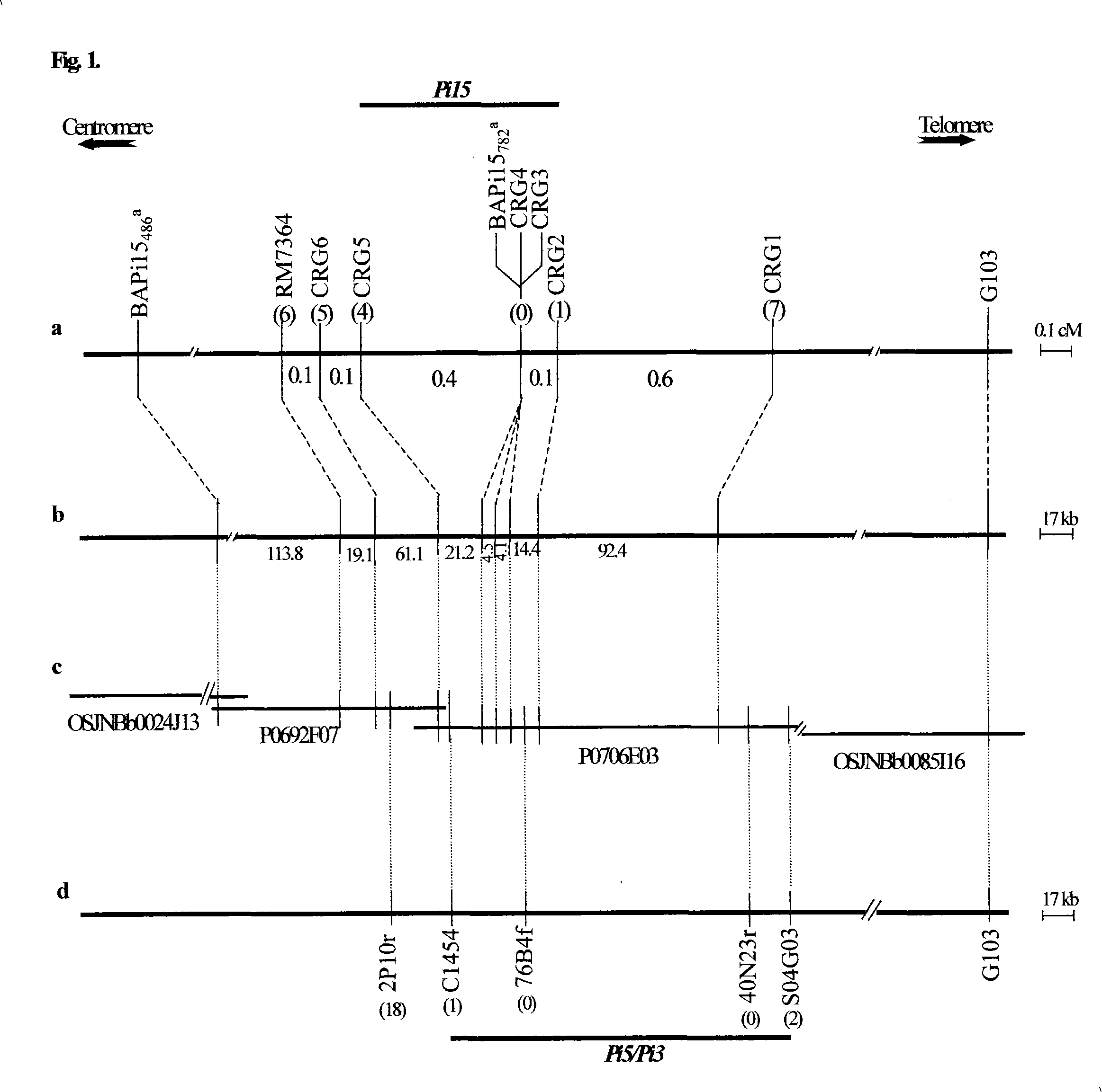 Pi15 resistance gene of rice blast, and application