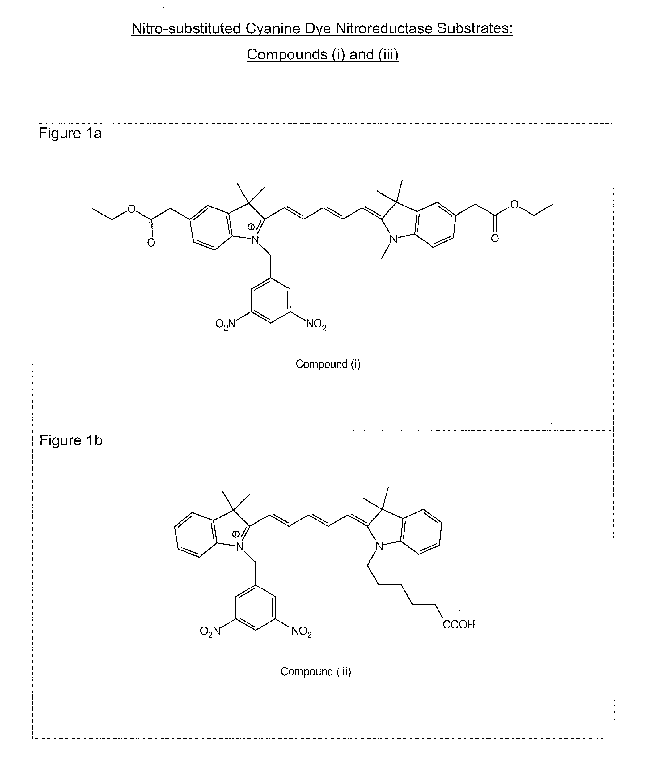 Method and Reagent for Measuring Nitroreductase Enzyme Activity