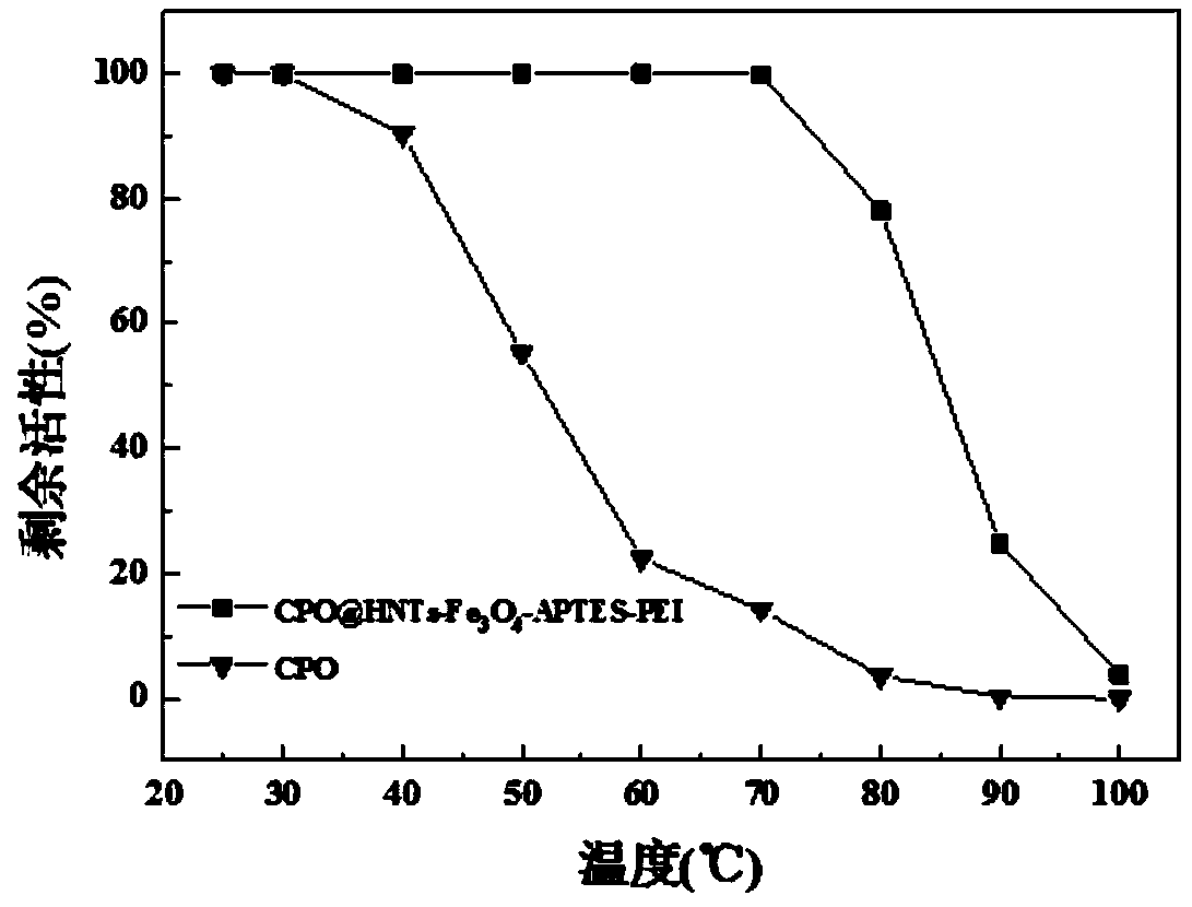 Reactor prepared in mode of simultaneously fixing chloroperoxidase to inner and outer walls of surface modified magnetic halloysite nanotubes and application