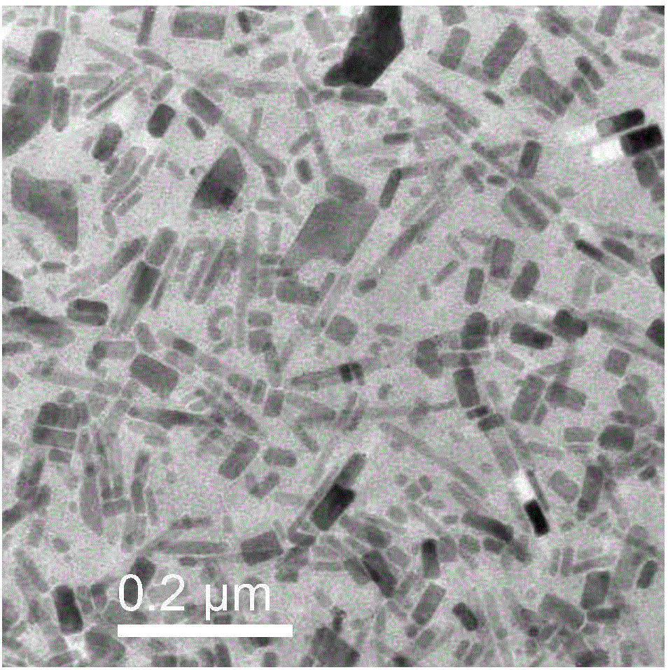 Preparation method of luminescence tin halide perovskite colloid nano-crystals