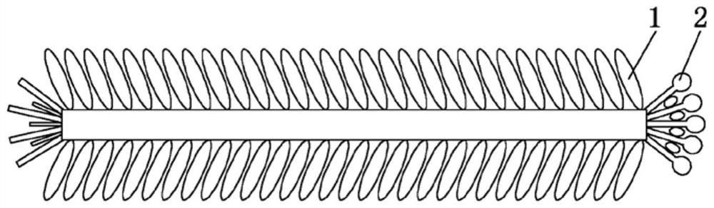 A preparation method of composite photocatalytic material based on microbial template