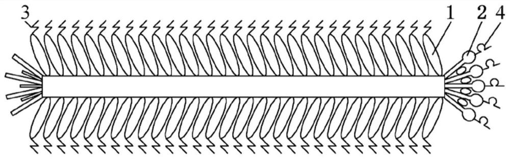 A preparation method of composite photocatalytic material based on microbial template