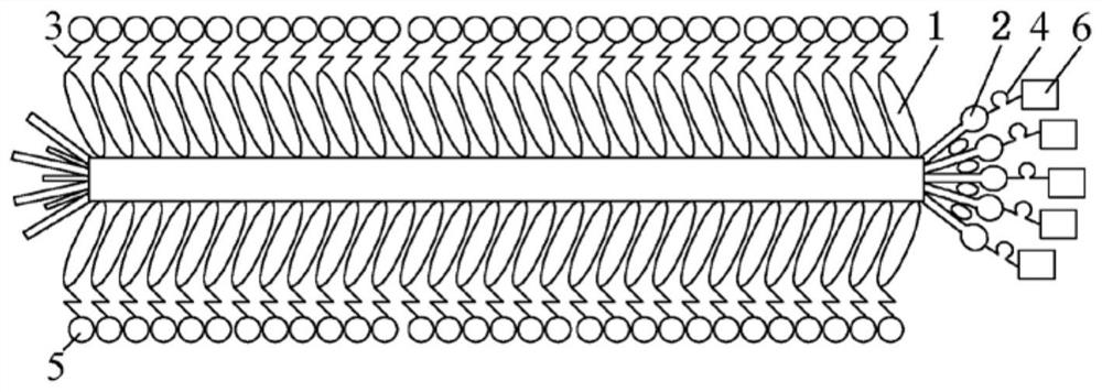 A preparation method of composite photocatalytic material based on microbial template