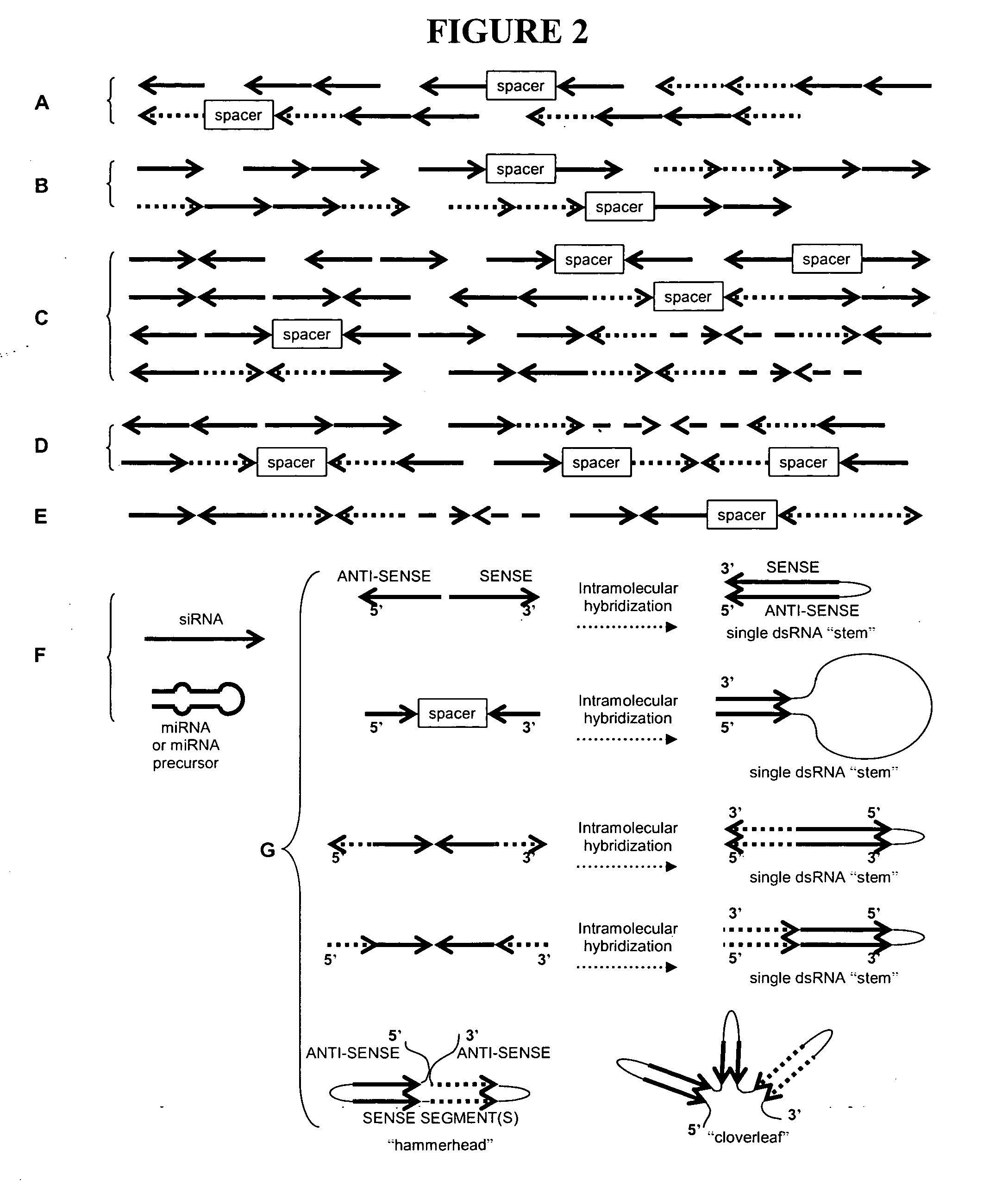 Methods for producing hybrid seed