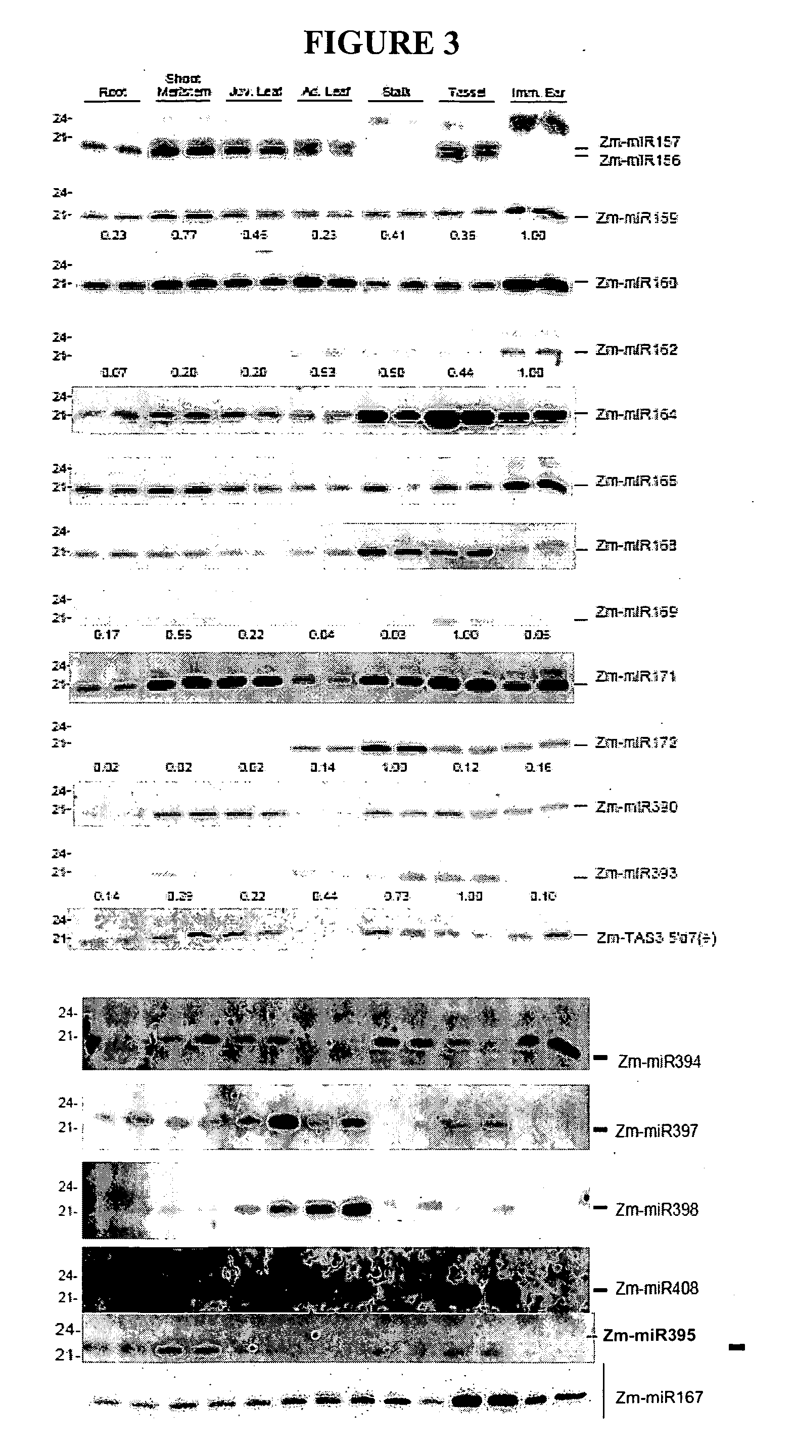 Methods for producing hybrid seed
